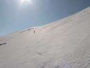 Storsnasen